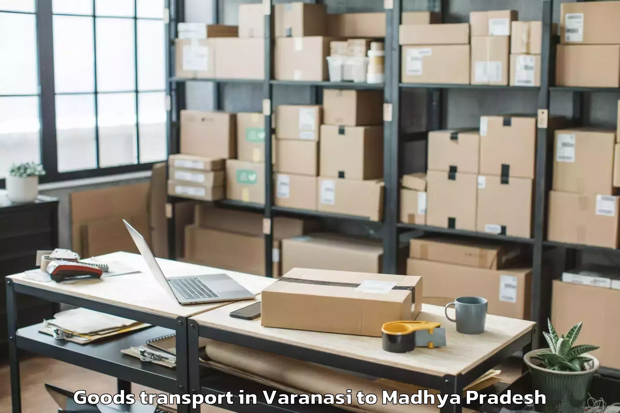 Book Your Varanasi to Bhopal Airport Bho Goods Transport Today